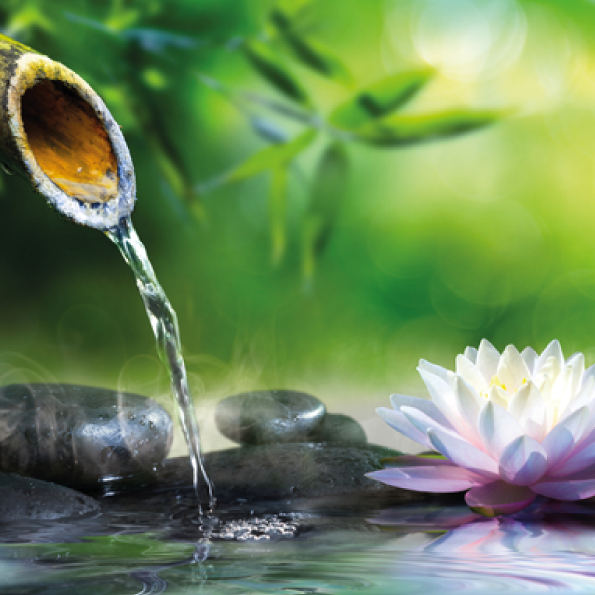 NATUROPATIA